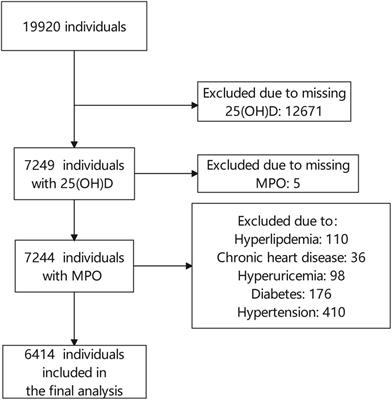Association between serum 25-hydroxyvitamin d and myeloperoxidase: A cross-sectional study of a general population in China